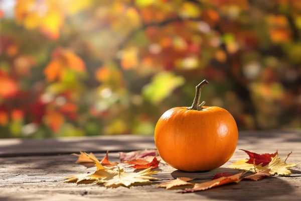 Quel est ce fruit d’automne qui fait fondre le cholestérol et la graisse abdominale ?.jpg