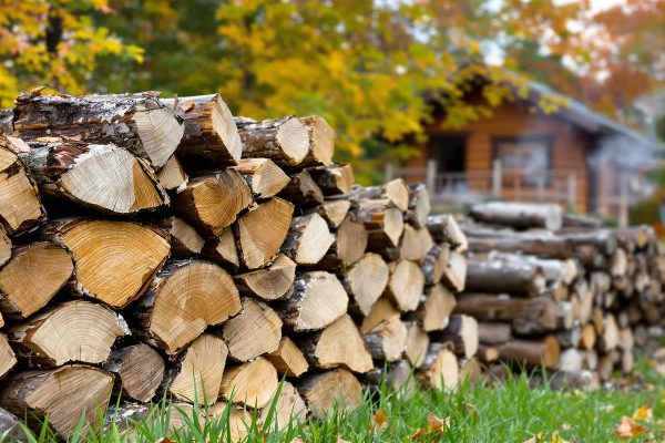 Je n'ai pas compris ce que j'ai fait de mal : son bois de chauffage était pratiquement inutilisable dans le poêle.jpg