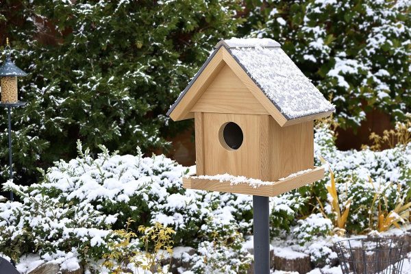 Nichoir : ce détail à corriger d’urgence chez vous pour que les oiseaux s’y réfugient tout l’hiver.jpg